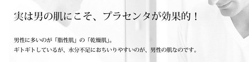 �����Y���v���Z���^���ϕi�y��̓H�V���o�[�G�b�Z���X�z���T�C�g